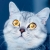 Profile picture of Cryptozow